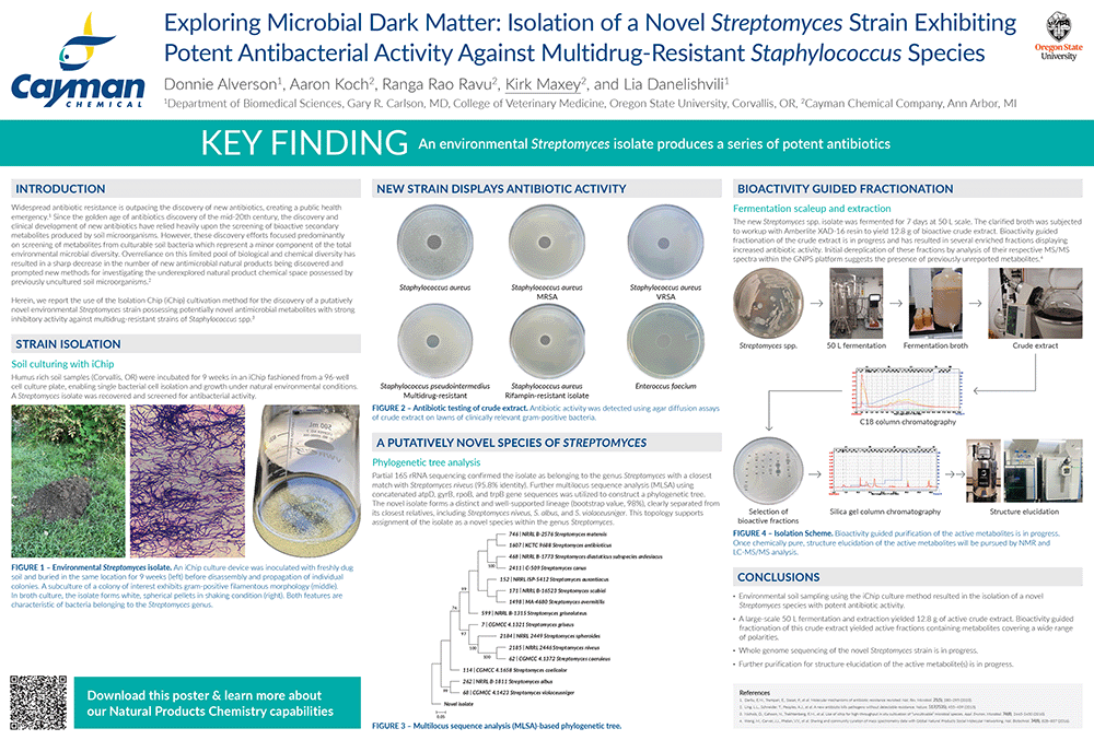 Exploring Microbial Dark Matter Isolation of a Novel Streptomyces Strain Exhibiting Potent Antibacterial Activity Against Multidrug-Resistant <em>Staphylococcus</em> Species<br>